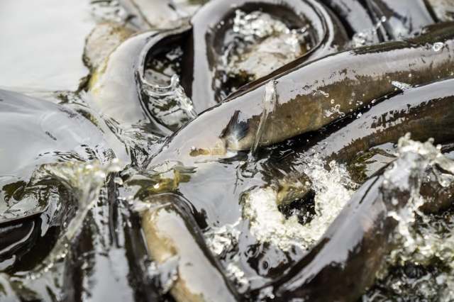 A citizen helped uncover the crime.