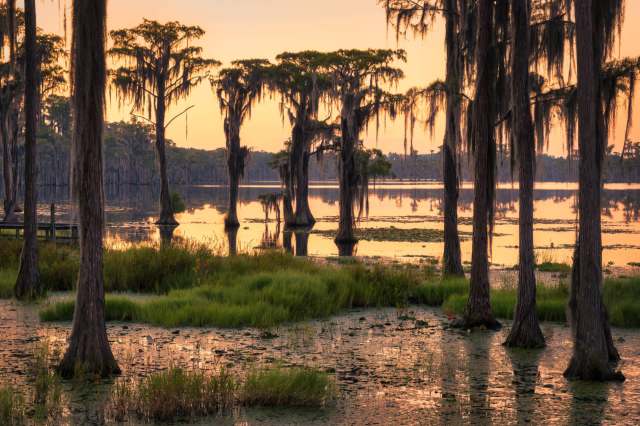 "It's great to see the legislature speaking out once again for the swamp in such an overwhelmingly bipartisan way."