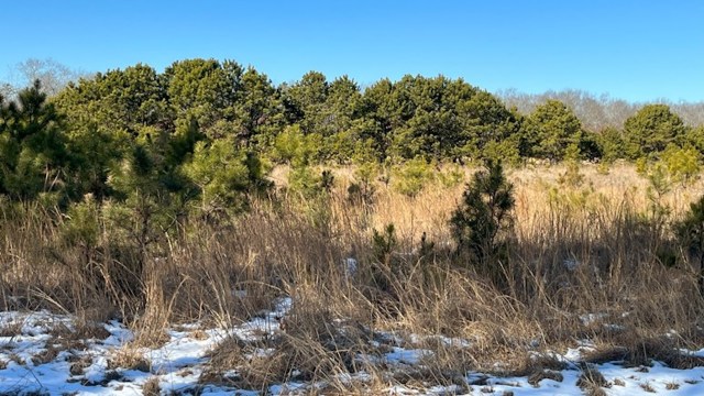 "Safeguarding natural spaces requires collective action."
