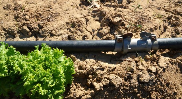 "Our new techniques could help to predict and prevent future outbreaks."