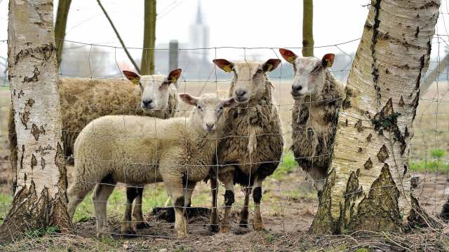 "It's a difficult time to be a farmer."