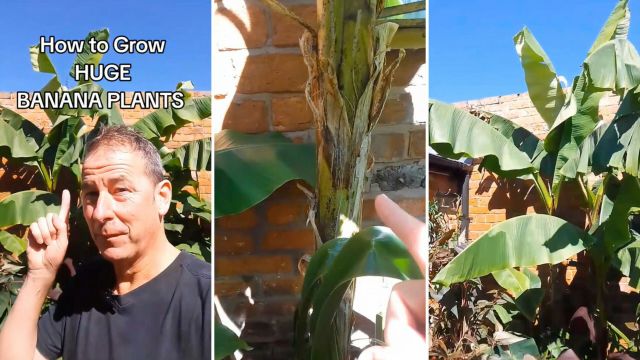 "Will come back to this for future use."