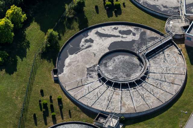 They're being flushed directly into the ocean.