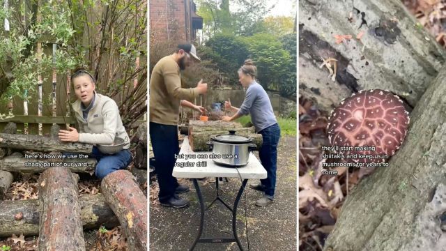 "Hey so this is actually genius."