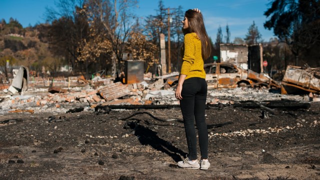 The company has continued to stay profitable even with disasters like wildfires and hurricanes.