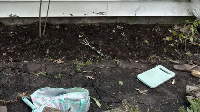 They spread like wildfire.