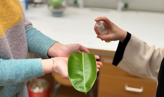 "This method has the potential to reduce the amount of pesticides required."