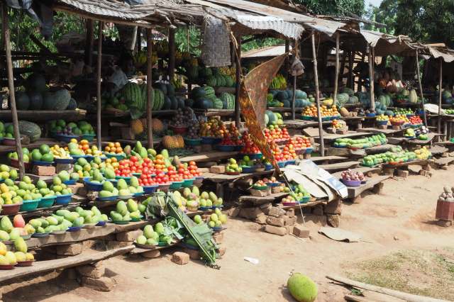 Farmers are changing the crops they grow and experimenting with different growth techniques.