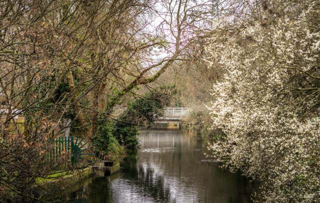 The spill threatens to undo years of work by conservationists and volunteers.