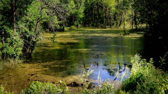 "We’re right on a transition zone."