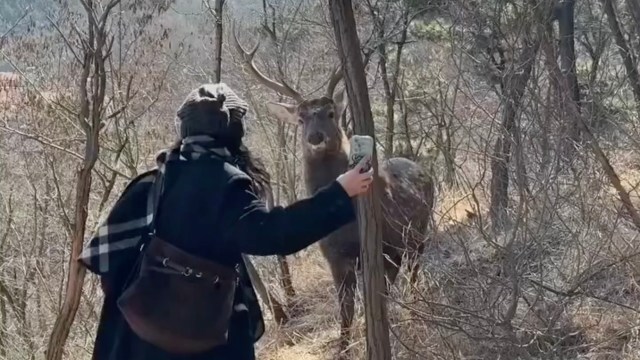 "She’s going to meet an animal someday who won’t give one."
