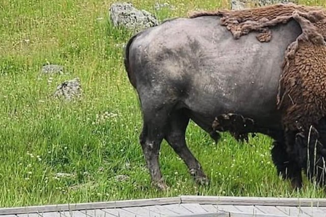 "All fun and games, until someone gets hurt!"