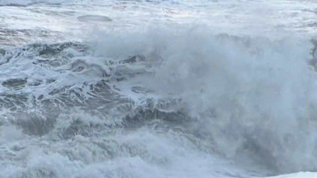 "It’s like they’re asking for a Darwin award."