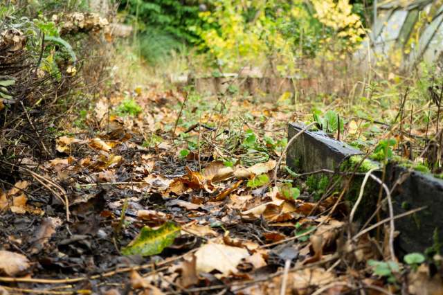 "There is stuff growing everywhere."