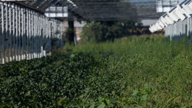 "It is a very serious issue."