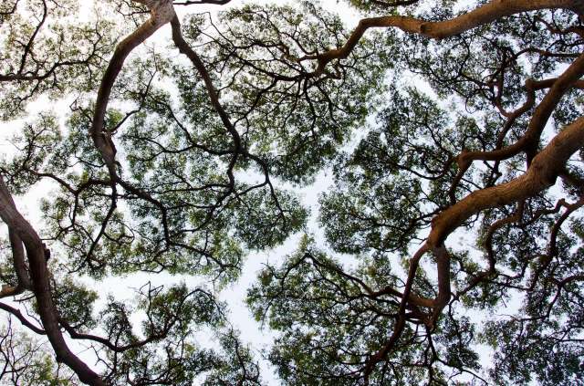 "Recovering threatened and endangered species is bigger than any one community or agency."