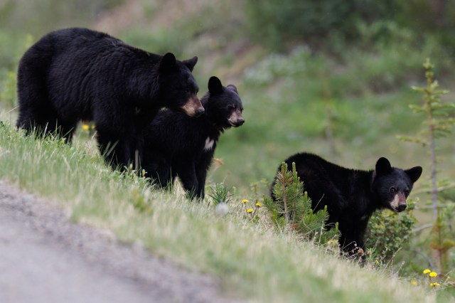 "I expected some variation."