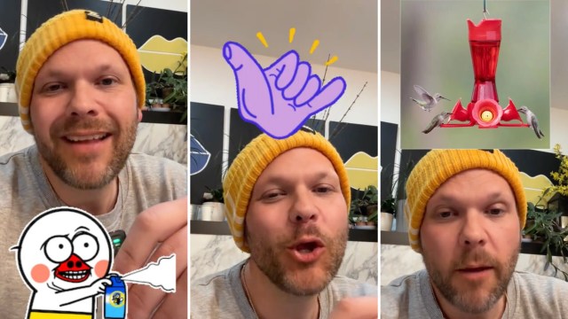 "Use more than one feeder because they are territorial."