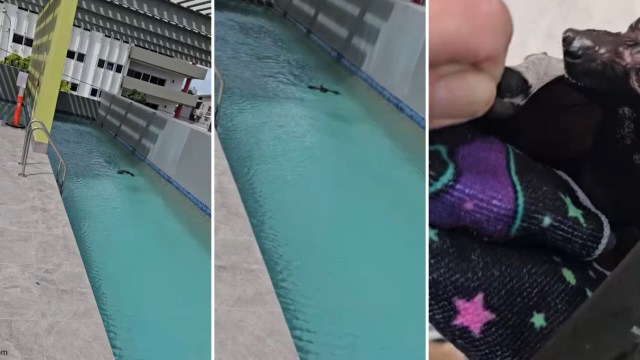 "I love the way she came straight to you."