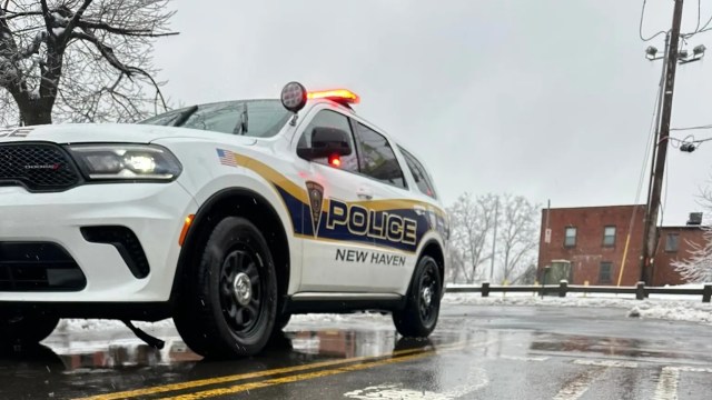 "We deal with some weird stuff all the time."