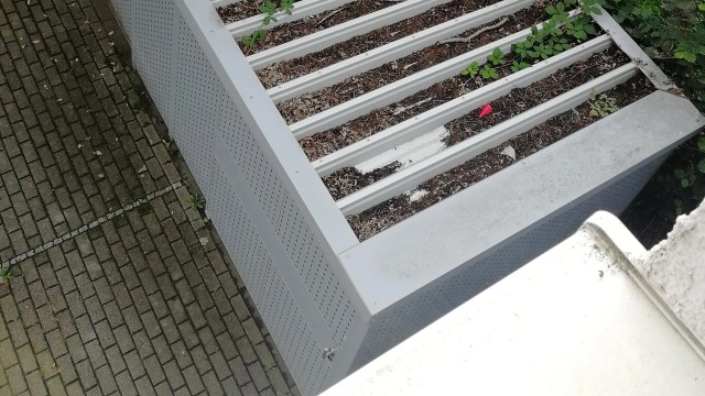 "Their roof also needs a general clean-out."