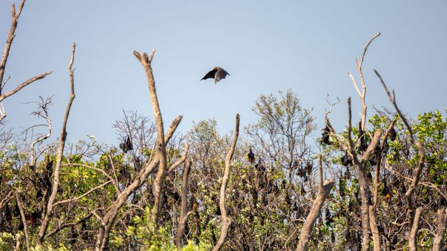 The results were nothing short of breathtaking.