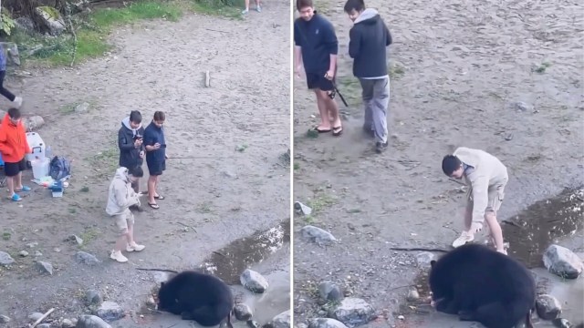 "Are you ... kidding me right now?"