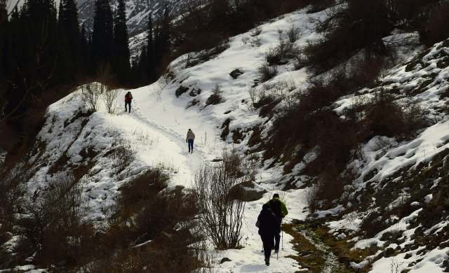 "This is why we can’t have nice things."