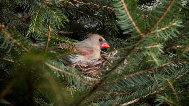 "We wanted to synthesize these global data resources to see what environmental factors shape biodiversity."