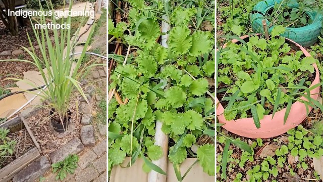 "That is how you work with the cycle of life."