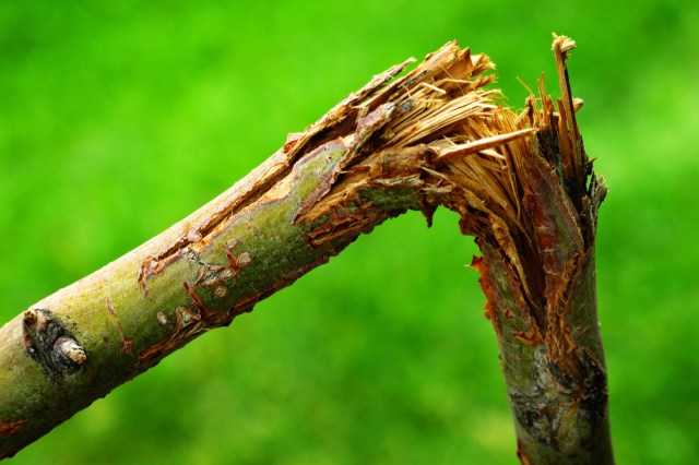 "Your HOA is wrong."