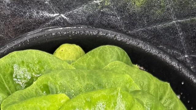 "Thank you for the tip!"