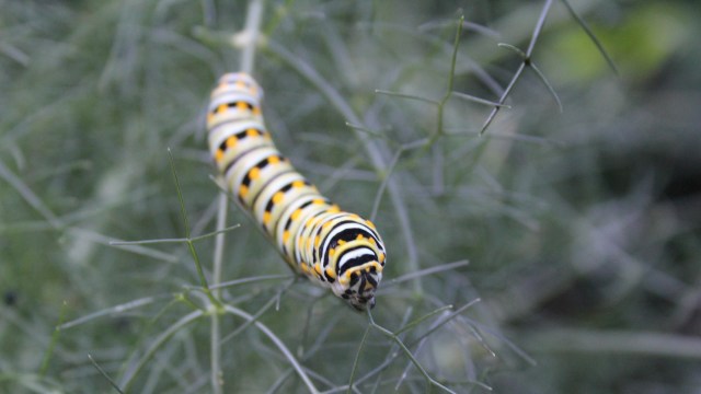 "This is a wake-up call."