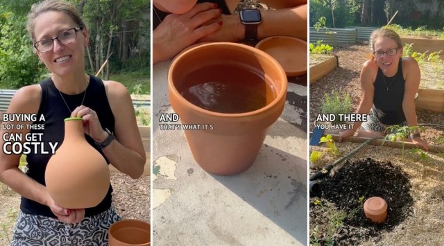 Several fellow gardeners in the comments expressed their excitement.