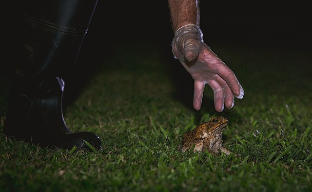 "Thank you for your service."