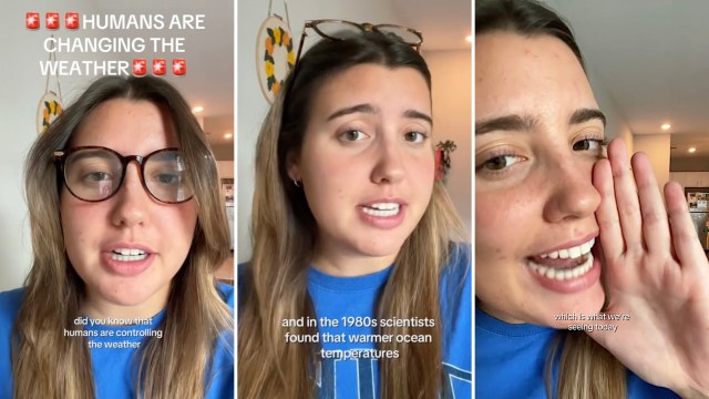 According to the biologist, hurricanes need a few ingredients.