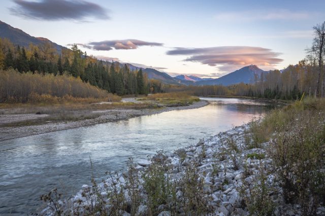 "We’re getting a third-party, independent review of these issues."