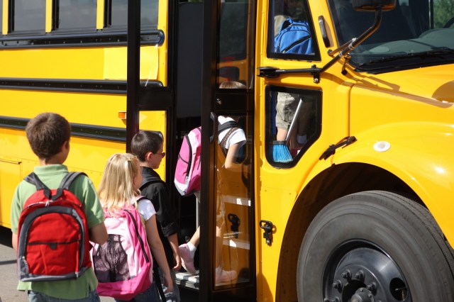 Above all else, experts suggest avoiding feeding wildlife of all kinds.