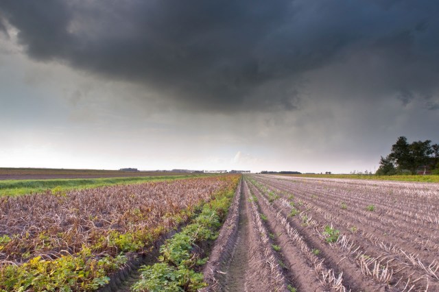 It was a devastating year for weather disasters in 2024.