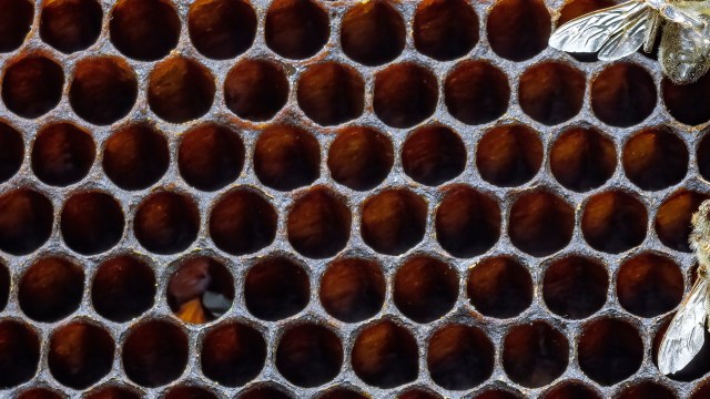 "Once we get to 70% to 80%, you can’t recoup your numbers anymore."