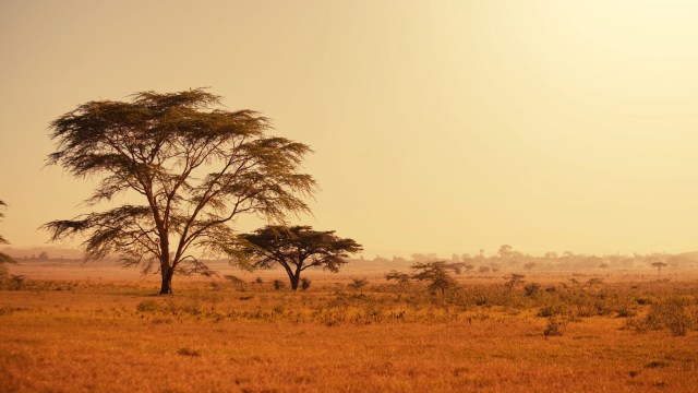 "Our next steps will be to bring food and water resources into our calculations."