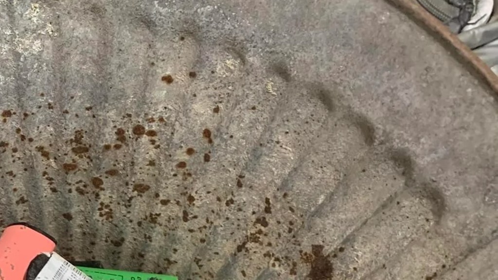 Resident shares striking photo after collecting one type of litter  throughout their hometown: 'These things need to be banned'