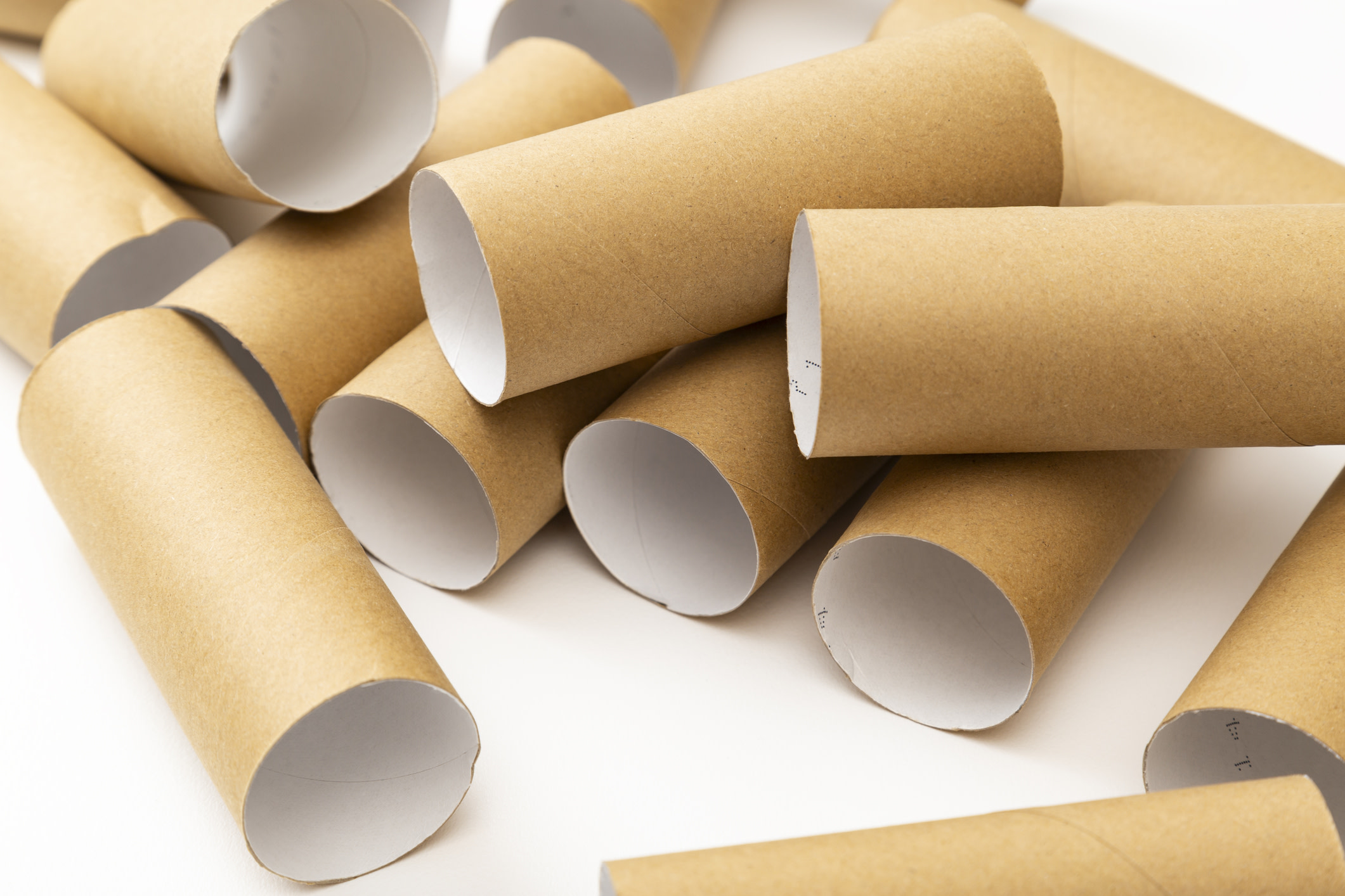 Dog owner shares ‘awesome’ 2-step trick to make toys from toilet paper rolls: ‘So easy to make’