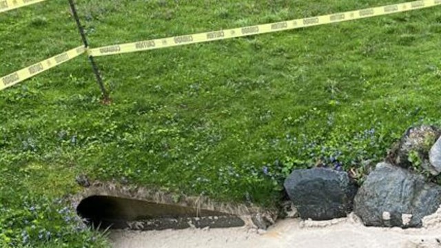 "This kind of lawlessness endangers public health."