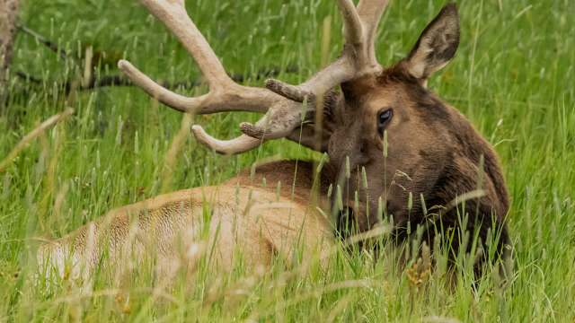 The situation reminds us that our choices impact wildlife.