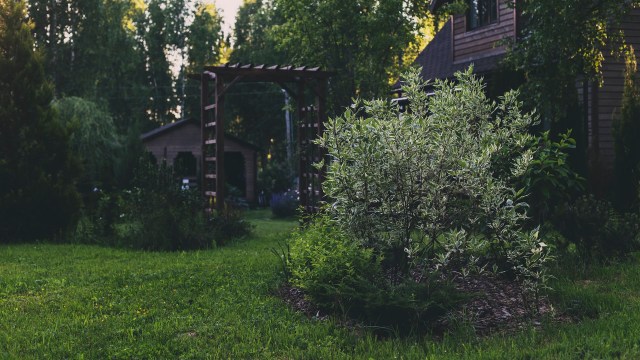 "The action to take is to reach out to ... Fish & Game."