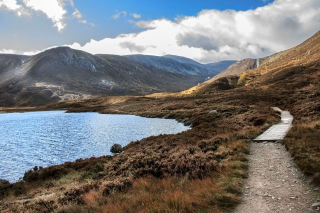 "Time they found out who is dumping these poor creatures."