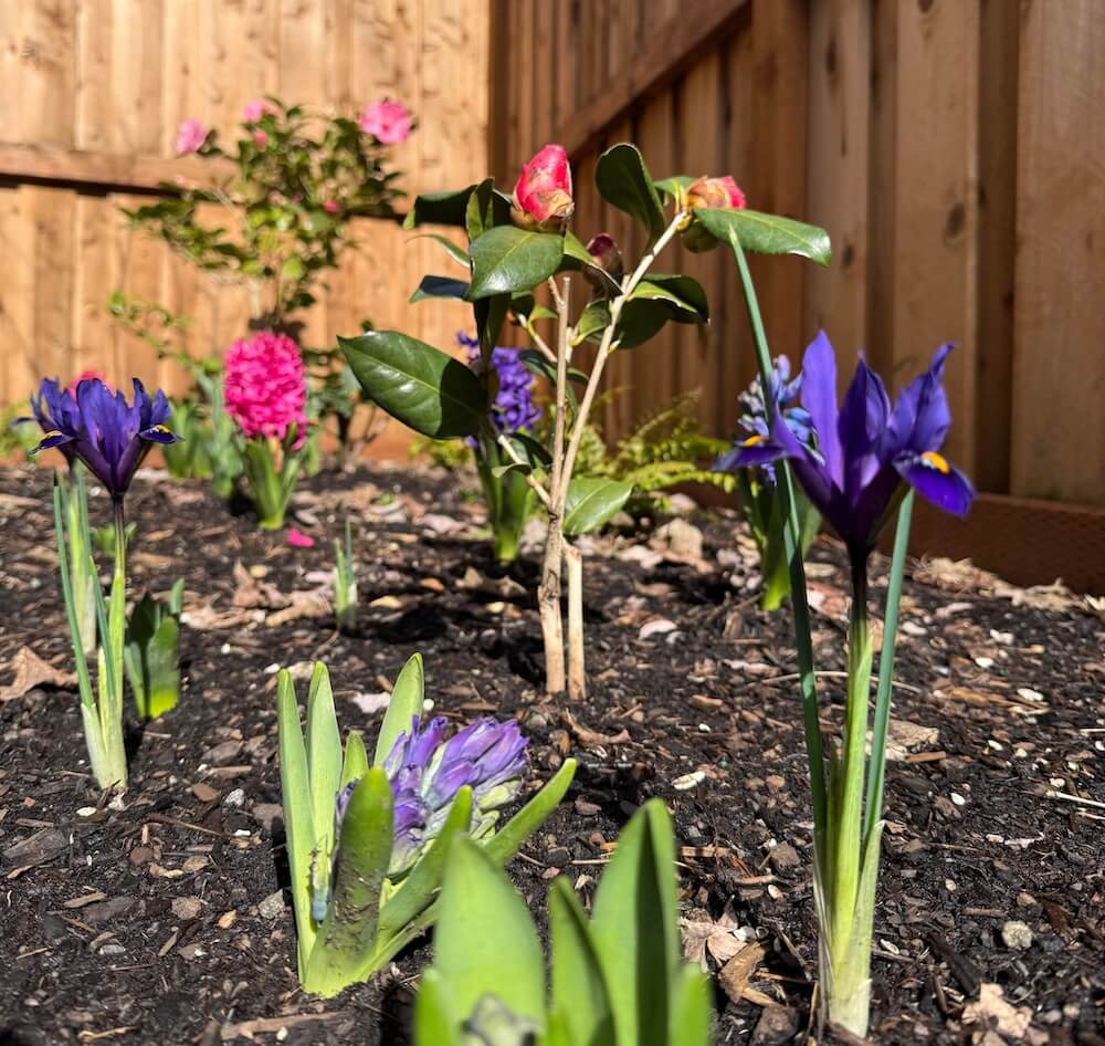 "They're all beautiful and thriving!"