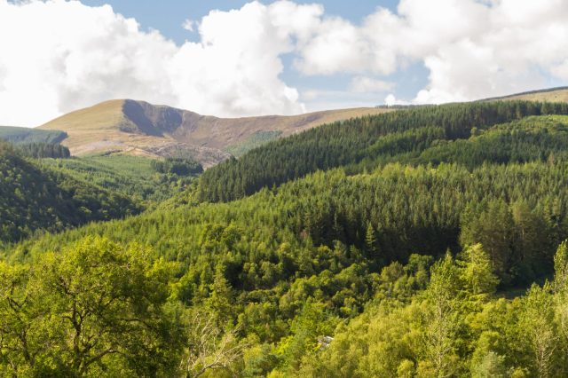 It didn’t help his case that he was caught on camera.