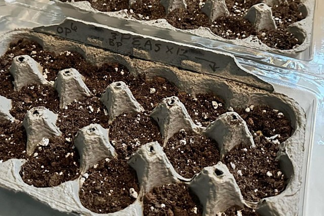 "I love discovering new ideas for things that would otherwise become more waste."